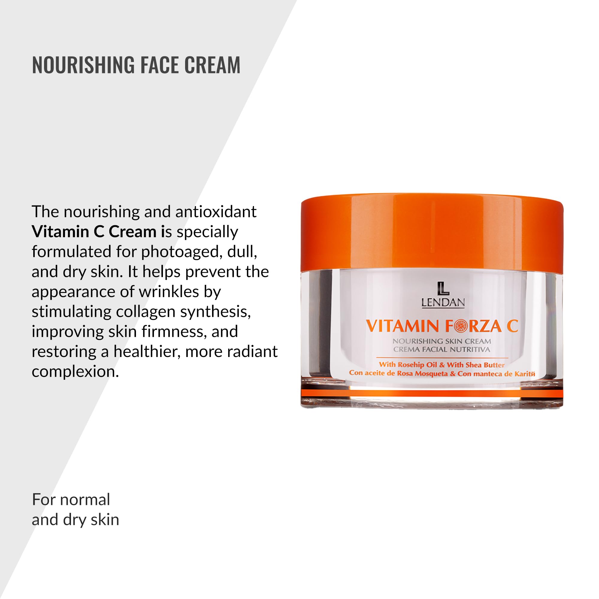 Amazon.com: Lendan - Vitamin C Cream - Vitamin Forza C - 50 ml